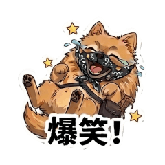 わが家のぽんきち