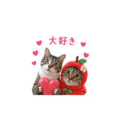 着ぐるみモカラテスタンプ