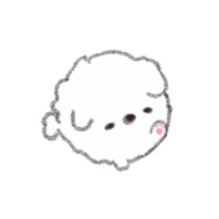 Round white doggo