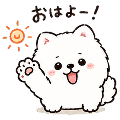 白いポメラニアン★ポンのスタンプ