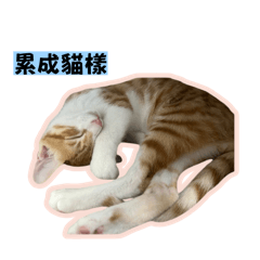 Nana_20260513170154