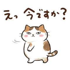 ジト目みこぞう☆ご挨拶③