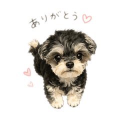 うちのすーさんスタンプ　かわいい