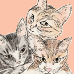 三匹の猫（ピーナッツ、もち、ごま）