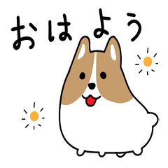 まんまるなコーギー犬