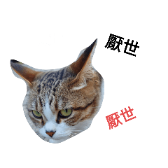 winni_20211001214153