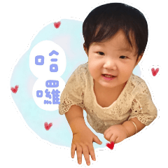 Pei small chubby treasure