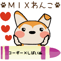 コギ柴風MIXわんこ【陽葵‐ひまり‐】