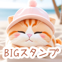 海とふんわり猫の日常BIGスタンプ