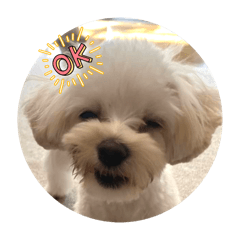 ミルクちゃんのスタンププ