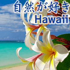 背景が動く▶︎自然が好き--ハワイHawaii--
