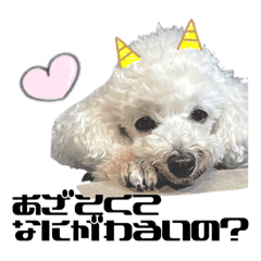 川上犬のスタンプ。