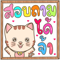 Morse Cute Cat Working Ver.2(TH)