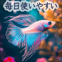 背景が動く▶︎美しいアクアリウム2✨日常