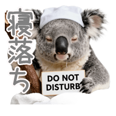 睡眠至上主義コアラの寝落ち言い訳