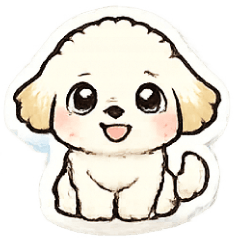 かわいい！ミックス犬　マルプー49