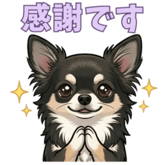 【敬語】毎日使える！表情豊かな黒チワワ 4