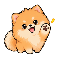 Cute Pomeranian Fluffy Chat