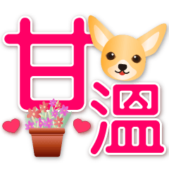 Cute Chihuahua--Practical Life Phrases