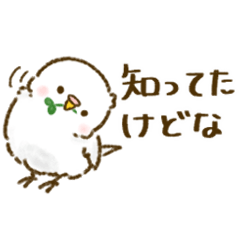 生意気な白インコ（小さめ）