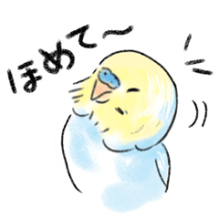 ご機嫌なセキセイインコ（ふわふわ）