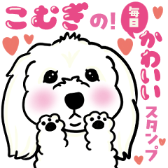 キュルルンかわいいこむぎスタンプ