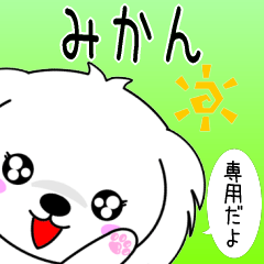 ♦️みかん専用♦️名前スタンプ