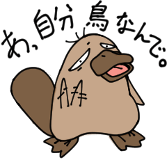 曖昧！カモノハシ君