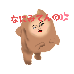 ジンメンポメラニアンジンメンポメ