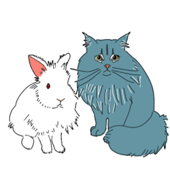 モヤジニ(うさぎの兄とサイベリアンの弟)