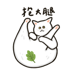 Baoji_20251108133924