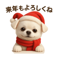 冬の てんちゃん たるちゃん