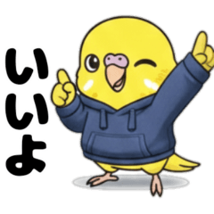 ゆるかわセキセイ　ダーちゃん