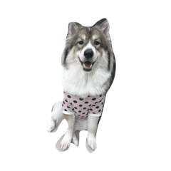 Toktak_20260315112001