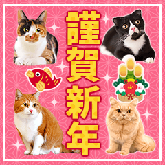 ねこ写真BIGスタンプ♪年末年始【再販】