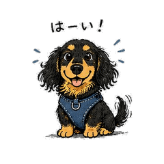 おんまろちゃんの日常