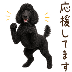 一年中使える♪スタンダードプードル