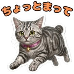毎日使える！ボブテイルのサバトラスタンプ
