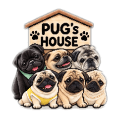 PUG's HOUSE