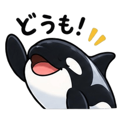 Happy Orca Stickers2