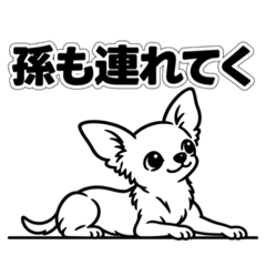 大きな文字のかわいい犬７