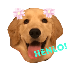 Weining_20190731223812