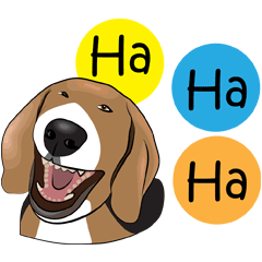 Beagle_funny dog_English