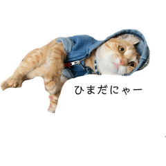 nikoandk