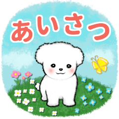 【挨拶】白いトイプードル仔犬/修正版