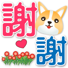 Cute Corgi-- Practical phrases