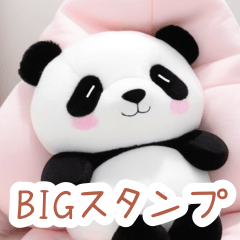 ナイトタイムのふんわりパンダBIGスタンプ