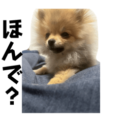 可愛いシャロンさん3