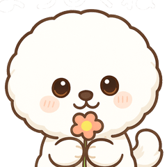 ゆるかわ｜ビション・フリーゼ vol.1