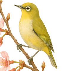 Colorful Birds Friends